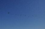 Dcim13728/DSC_3221