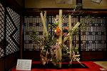 Dcim13792/DSC_6422