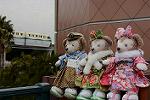 Dcim13894/DSC_8585