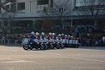 Dcim13945/DSC_4555