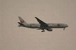 Dcim13998/DSC_1552