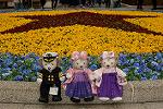 Dcim13999/DSC_1654