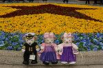 Dcim13999/DSC_1655