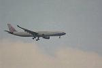 Dcim14006/DSC_2589