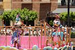 Dcim14154/DSC_8089