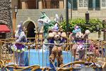 Dcim14155/DSC_8145