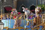 Dcim14157/DSC_8449
