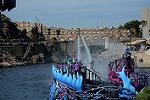 Dcim14544/DSC_4433