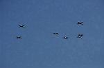 Dcim14553/DSC_1470