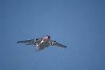 Dcim14556/DSC_5960