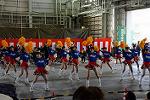 Dcim14572/DSC_8460