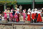 Dcim14581/DSC_9256