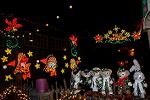 Dcim14607/DSC_2004