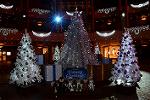 Dcim14609/DSC_2378