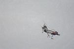 Dcim14632/DSC_5809