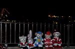 Dcim14690/DSC_5239