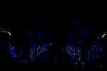 Dcim14710/DSC_5744