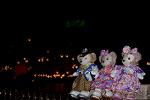 Dcim14736/DSC_8715