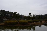 Dcim14780/DSC_4382