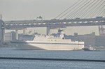 Dcim14792/DSC_6895