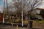 Dcim14814/DSC_8185