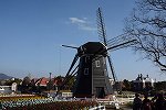 Dcim14819/DSC_8869