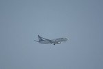 Dcim14854/DSC_3132