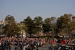 DSC_6269