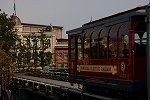 DSC_6646