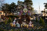 Dcim14895/DSC_8937