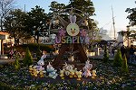Dcim14895/DSC_8938