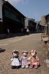 Dcim14916/DSC_1611