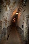 Dcim14917/DSC_1655
