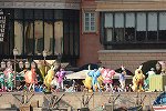 Dcim15029/DSC_5942