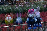Dcim15071/DSC_0703