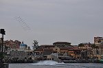Dcim15079/DSC_0942