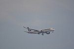 Dcim15084/DSC_2206