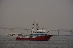 Dcim15089/DSC_2716