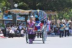 Dcim15108/DSC_1747