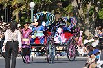 Dcim15108/DSC_1856