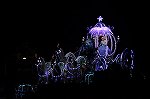 Dcim15109/DSC_1924