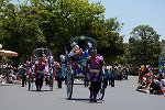 Dcim15111/DSC_5353
