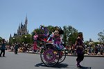 Dcim15112/DSC_5428