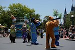 Dcim15112/DSC_5450