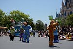 Dcim15112/DSC_5451