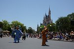 Dcim15112/DSC_5455