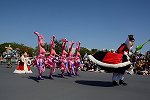 Dcim15114/DSC_5773
