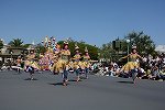 Dcim15115/DSC_5905