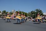 Dcim15115/DSC_5907