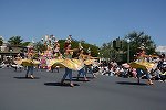 Dcim15115/DSC_5908